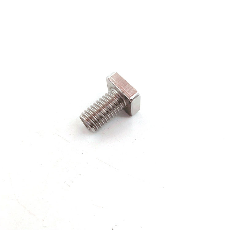 Rustfrit stål SS201/304 Square Head Short T Bolt